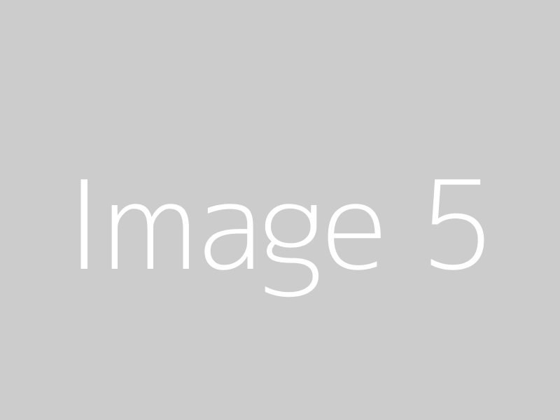 Image 5