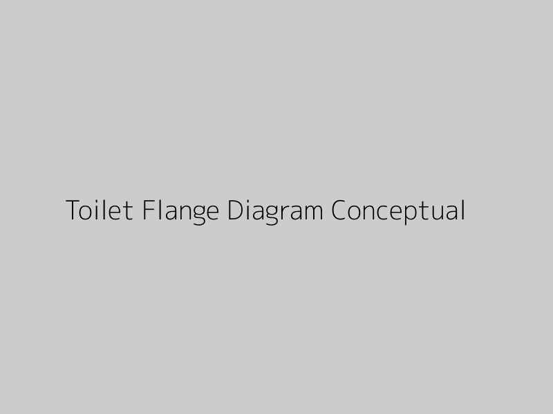 Conceptual diagram showing a toilet flange with key components labeled.