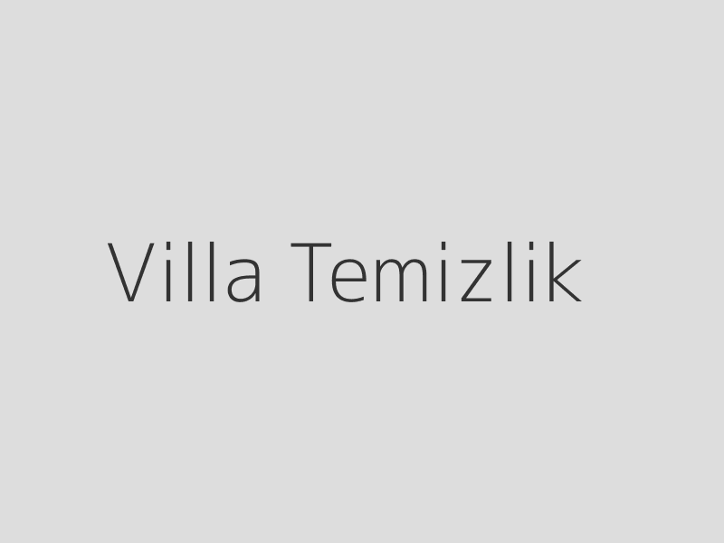 villa temizliği bursa