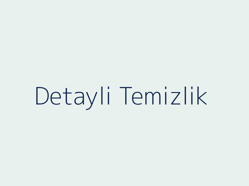 Bursa detaylı temizlik hizmeti