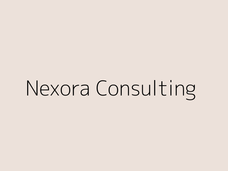 Nexora Consulting website and brand identity project