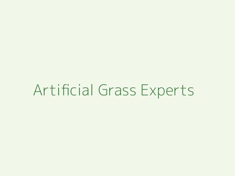 Artificial Grass Backyard Installation