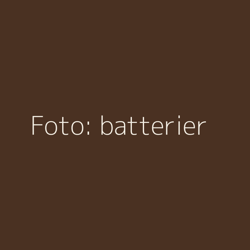 Batterier på det danske marked