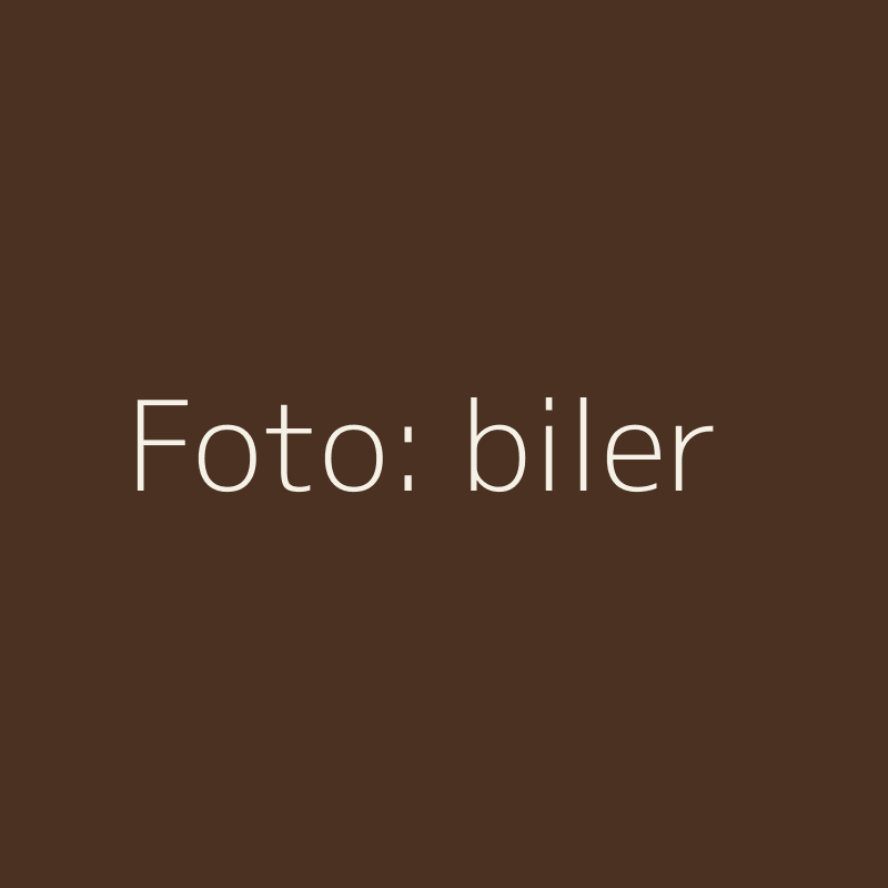 Biler på det danske marked