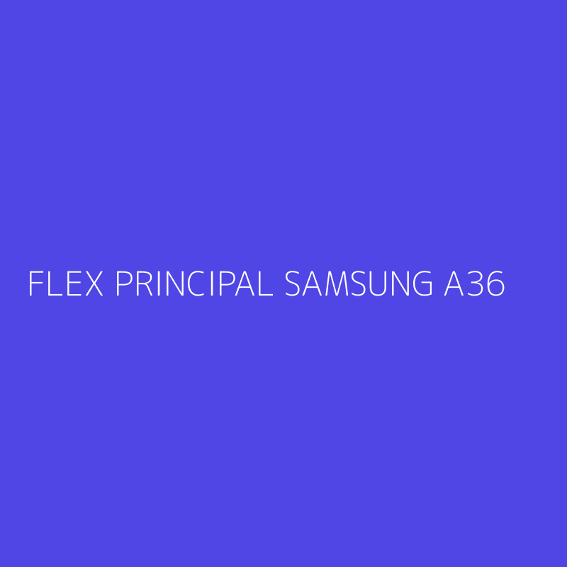 FLEX PRINCIPAL SAMSUNG A36