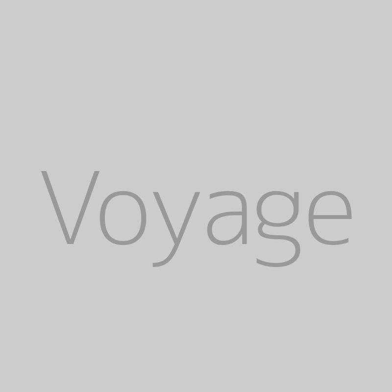 Voyage