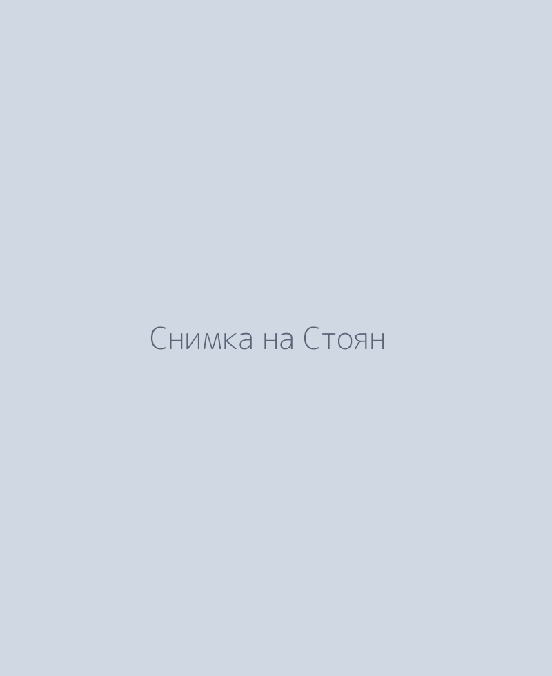 Стоян Георгиев