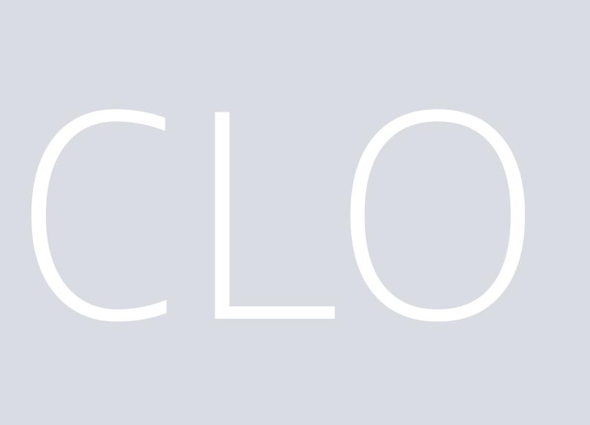 取締役 CLO 諏訪 貴紘