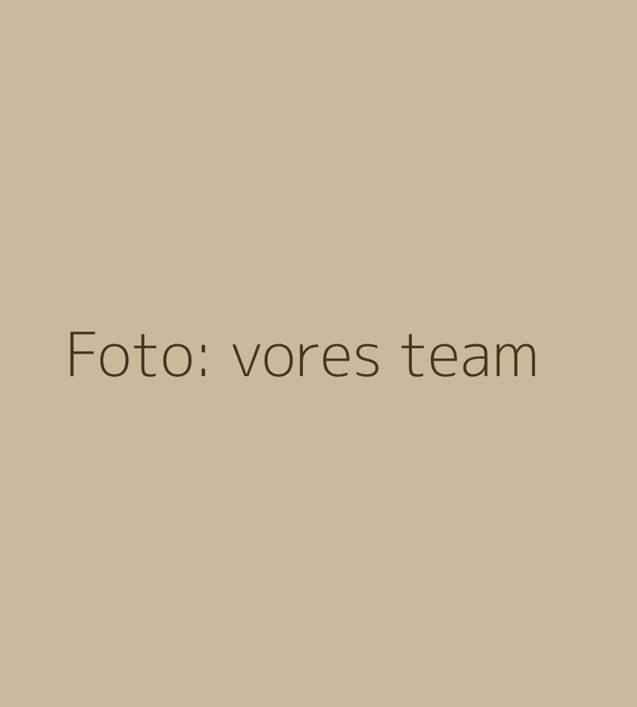 Vores team