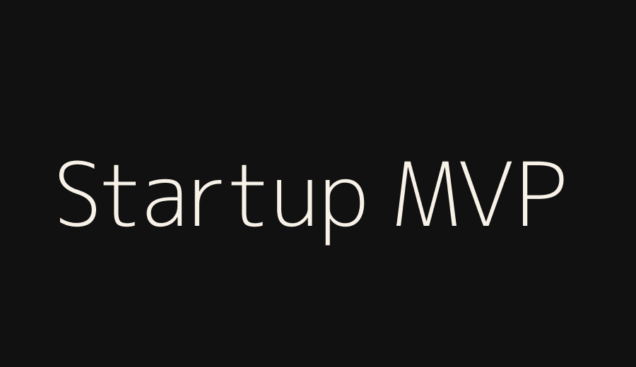 Startup MVP website development