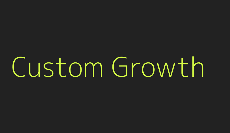 Custom digital marketing strategy