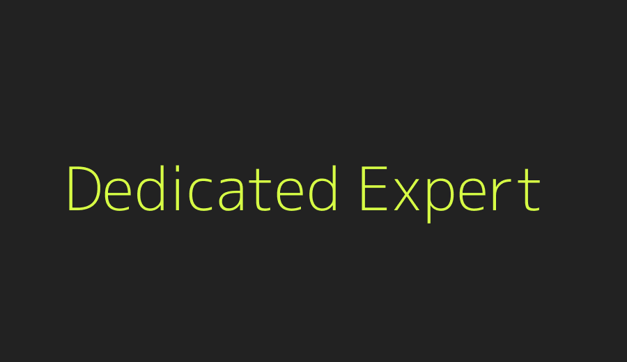 Hire dedicated AI SEO expert