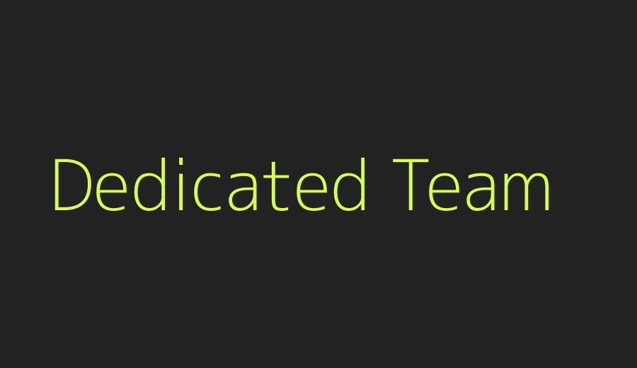 Dedicated Shopify developer