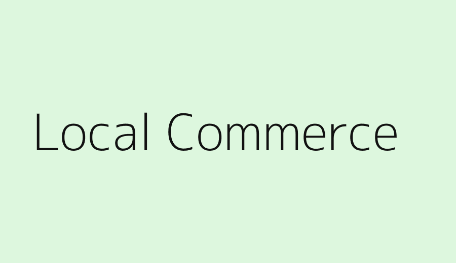 Local and ecommerce AI SEO