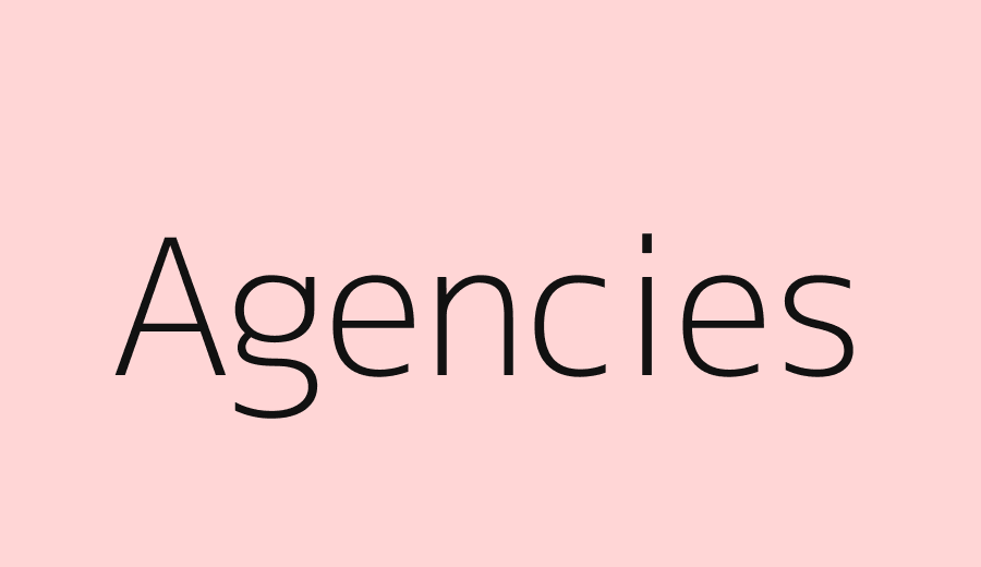 White-label WordPress development for agencies