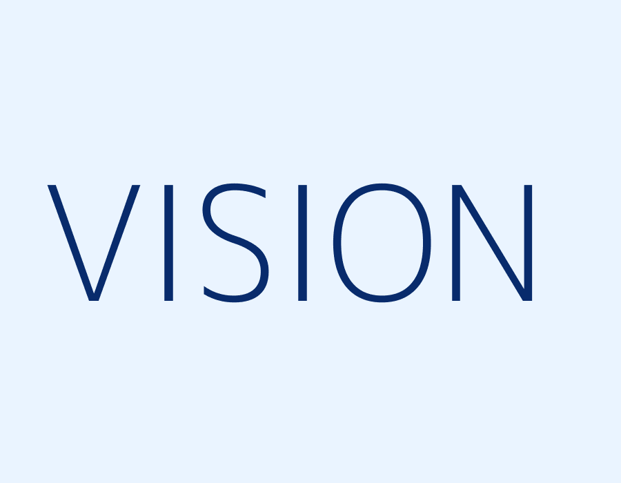 Vision
