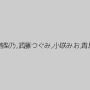 上原亜衣,芹沢つむぎ,早乙女らぶ,若月まりあ,平子知歌,茜梨乃,武藤つぐみ,小咲みお,青島かえで,木村つな,芦田知子,なごみ,いろはめる