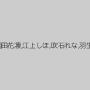 加納綾子,園田花凛,江上しほ,吹石れな,羽生ありさ