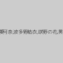 吉沢明歩,由愛可奈,波多野結衣,咲野の花,黒宮えいみ