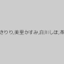 姫野りむ,雪見ほのか,ゆうきりり,美里かすみ,白川しほ,茶木ヒデミ,長谷川愛未