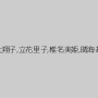 早乙女みなき,三上翔子,立花里子,椎名美姫,晴海あすか,KYOKO