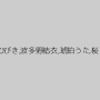 星崎アンリ,有村千佳,おぐりみく,大槻ひびき,波多野結衣,琥珀うた,桜りお,浅間アリス（黒川メイサ）