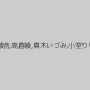 朝倉まりあ,結城綾音,高倉綾,真木いづみ,小室りりか,紺野霧子