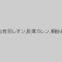 桜りお,音羽レオン,長澤カレン,桐谷あや