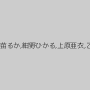 湊莉久,川村まや,宮崎あや,大槻ひびき,佳苗るか,紺野ひかる,上原亜衣,乙葉ななせ,友田彩也香,波多野結衣