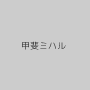 甲斐ミハル