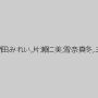 真木今日子,香苗レノン,新田みれい,片瀬仁美,雪奈真冬,三葉優花,優梨まいな