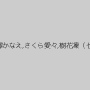美花ぬりぇ,石川みずき,芹澤かなえ,さくら愛々,樹花凜（七咲楓花）,野中あんり