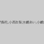 雨宮琴音,青空小夏,愛内梨花,小西友梨,水嶋あい,小嶋ジュンナ,小桜沙樹